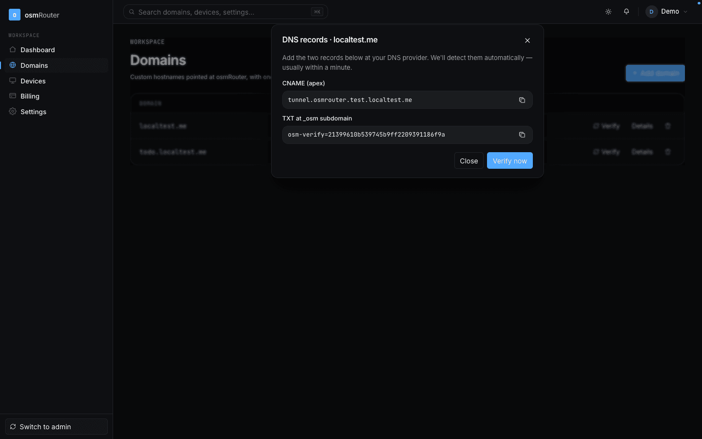 Add-domain modal with the DNS instructions